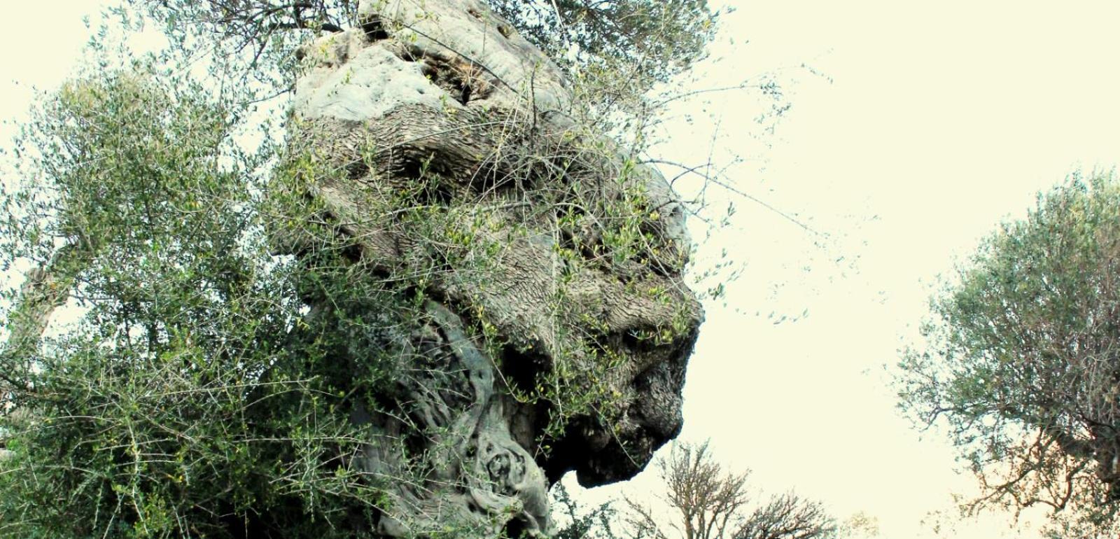 Casa Della Nonna Villa Caltavuturo Exteriör bild
